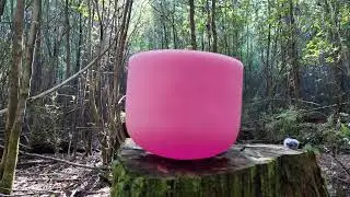 Base Chakra Singing Bowl in Nature - Vol 1