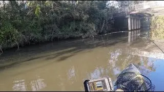 Can you catch Bream on Cicadas in winter? Plus bonus friends catches.
