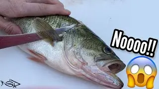 Can You EAT Largemouth Bass? | Catch and Cook