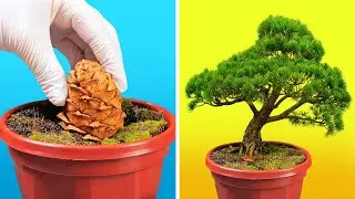 25 IDEAS INCREÍBLES PARA PLANTAR Y VOLVER MÁS VERDE A TU HOGAR