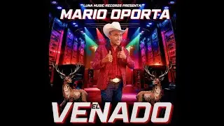 Mario Oporta  - El Venado (Audio Oficial 2025)