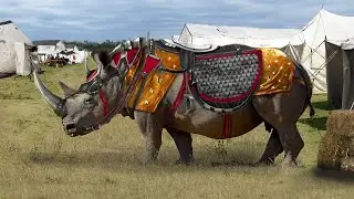 11 Animals We STILL Haven't Been Able To Domesticate!