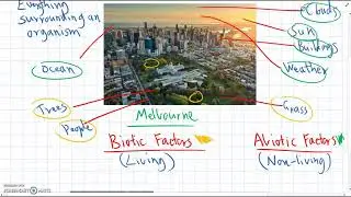 Biotic and Abiotic Factors