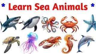 Learn Sea animals Names for kids | Learn Ocean Animals Names for Kids | Preschool Learning Video