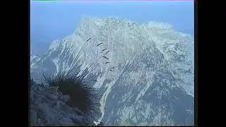 Ges&auml;use-Admont-Dachlgrat auf das Hochtor mit Hans Gro&szlig;mann