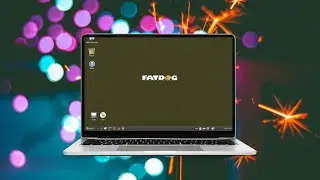 These Fatdog64 901 Linux is the simplest picks for new users