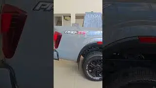 NISSAN NAVARA PRO-4X (STEALTH PEARL GRAY)