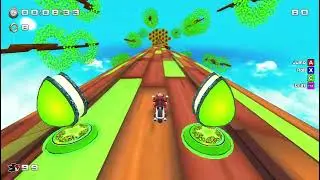 Sonic World R10 - Biker Shadow (on a Bike)