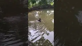rural scene: fishing scene