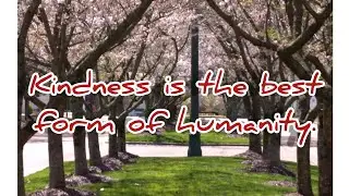 Quotes for Humanity... 💜🙏🏻💜