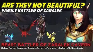 Shinmura (Beast team) - Family Battler of Zaralek Cavern