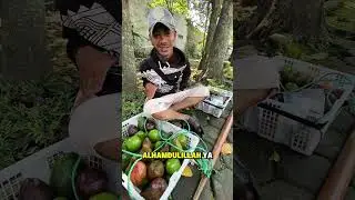 Tes kebaikan penjual buah alpukat 