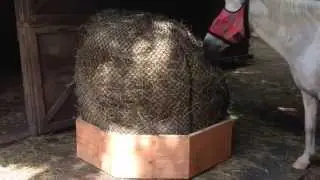 The 