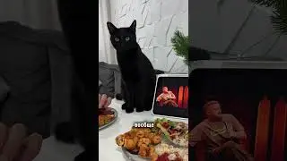 Артикул #WW275092 (копируй с WW)  #cat