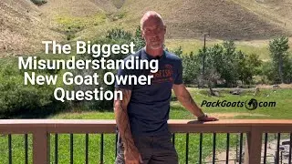 The Biggest Misunderstanding Question New Goat Owners Ask