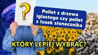 Kt&oacute;ry pellet jest bardziej opłacalny? Słonecznikowy czy iglasty?🤔 - ExpertMAX