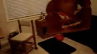 toast monster