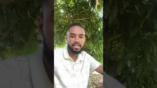 Potential #jamaica #jesus #walkinspiritoftheholyspirit #peace #purpose #potential