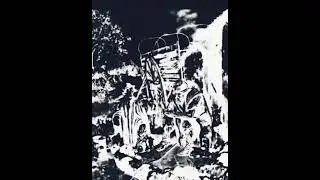 RAZA PRIMITIVA 