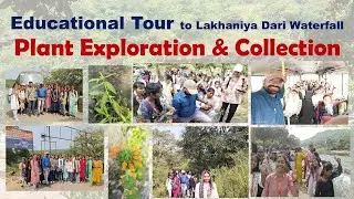 Field Exploration, Plant Collection & Identification