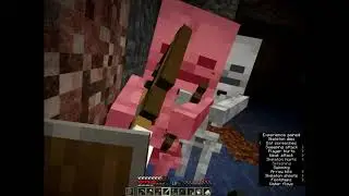 minecraftmp.4
