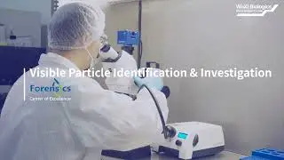Analytical Solutions