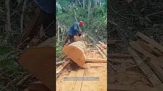 Splitting Timber with Leverage in the Forest