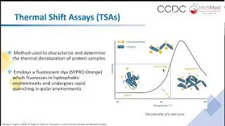 From fragment-screening to fragment-growing - new strategies for drug discovery.