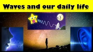 Daily life Applications of Waves || Introduction to Waves || Physics and Everyday Life