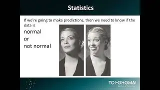 Normal vs non normal data