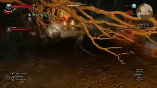 The Witcher 3 Deathmarch - (Feet as Cold as Ice Quest) Grottore Boss Fight No Damage/ No Quen NG+