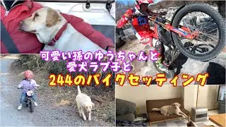 可愛い孫のゆうちゃんと愛犬ラブ子と244のバイクセッティング