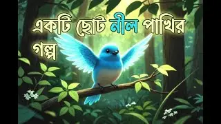একটি ছোট নীল পাখির গল্প । The story of a little blue bird