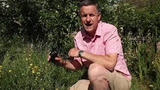 Message from Photographer Iain Green to Beecroft Garden