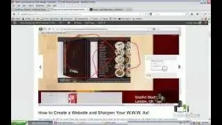 How to Embed Flash in WordPress | Learn How to Embed swf files in WordPress CMS Blog