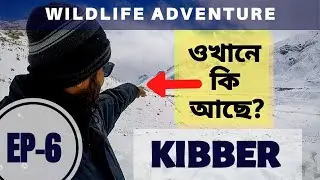 WINTER SPITI- #Kolkata to #KIBBER EP 6 || Wild Life Adventure (#BeardedVulture, #RedFox, #Ibex etc)