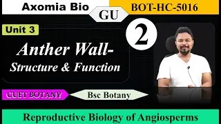 Anther wall| Structure & Function| Reproductive Biology| 5th sem GU| Bsc Botany| Axomia Bio