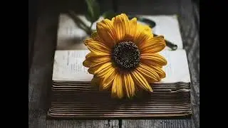PARA FORTALECER A FÉ - RICHARD BAXTER
