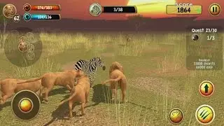 Wild Lion Simulator 3D Android Gameplay #11