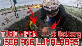 Kakagulat tubig na may lumalabas na isda at hipon?