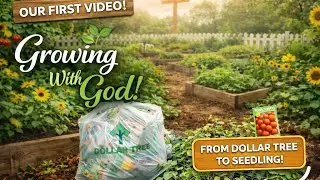 Beginner to Blooming: Come join us on our gardening journey😁🥦🍎