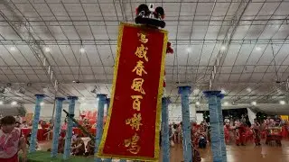 Выступление Yiwei Lion Dance на шестах в Shui Lian Gong, Сингапур, 7 октября 2025 г.