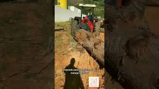 Garra Hidraulica - Garra campineiro mini skidder