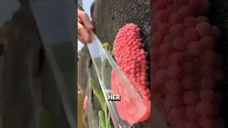 Почему вам стоит раздавить эти красные яйца 🤯 #шорты