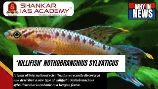 New Killifish Discovered: Nothobranchius Sylvaticus | Shankar IAS Academy| UPSC current Affairs |
