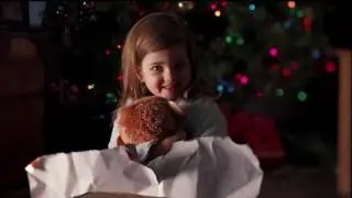Duracell 'Toys for Tots' Campaign: 