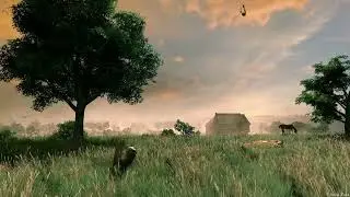 Foggy countryside | Free animated motion background | Landscape scenery animation