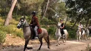 Ranxo Ses Roques Horse Riding Mallorca 2022
