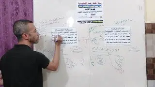 نصية أصول فقه غير حنفي (ح٨) للفرقة الثانية بكلية الشريعة (المخصصات المنفصلة: مسألة الرابعة والخامسة)