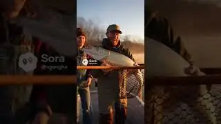 Ep. 304: Rainy Season Fishing - Catching Fish After Heavy | #WildRiverPOV #NatureShorts #AnimalWorld